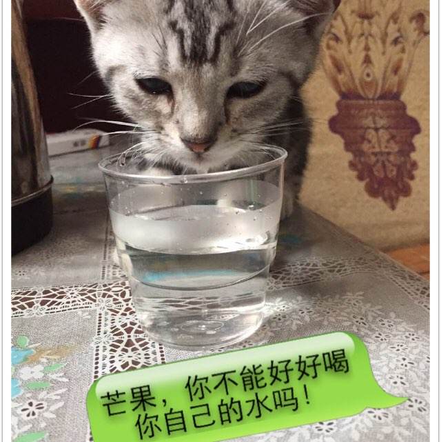代办中?亚特兰大基督教大学毕业证